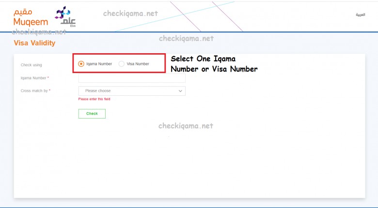 Visa validity check online