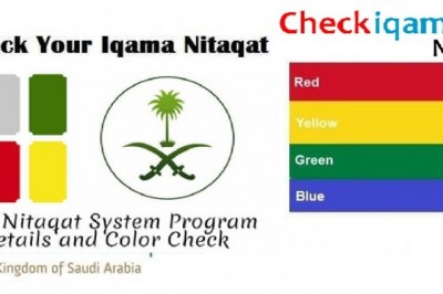 Check your Company  color Status (Nitaqat color) online