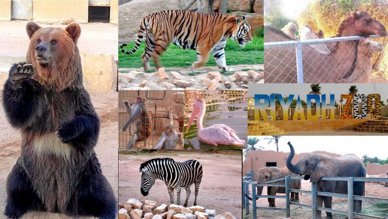 Riyadh Zoo timing, entry fee and location